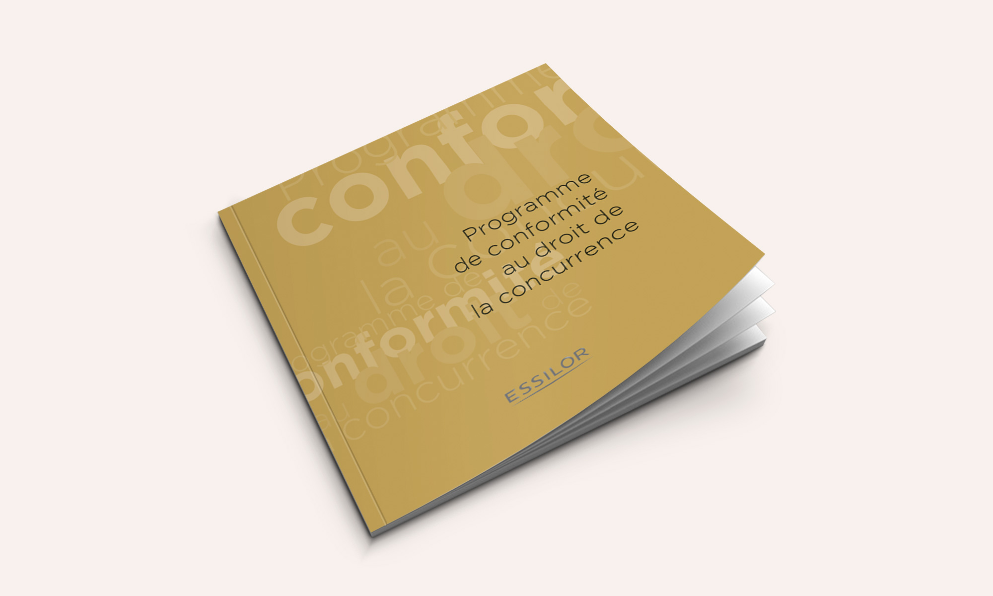 designea-communication-entreprise-brochure-essilor-visio