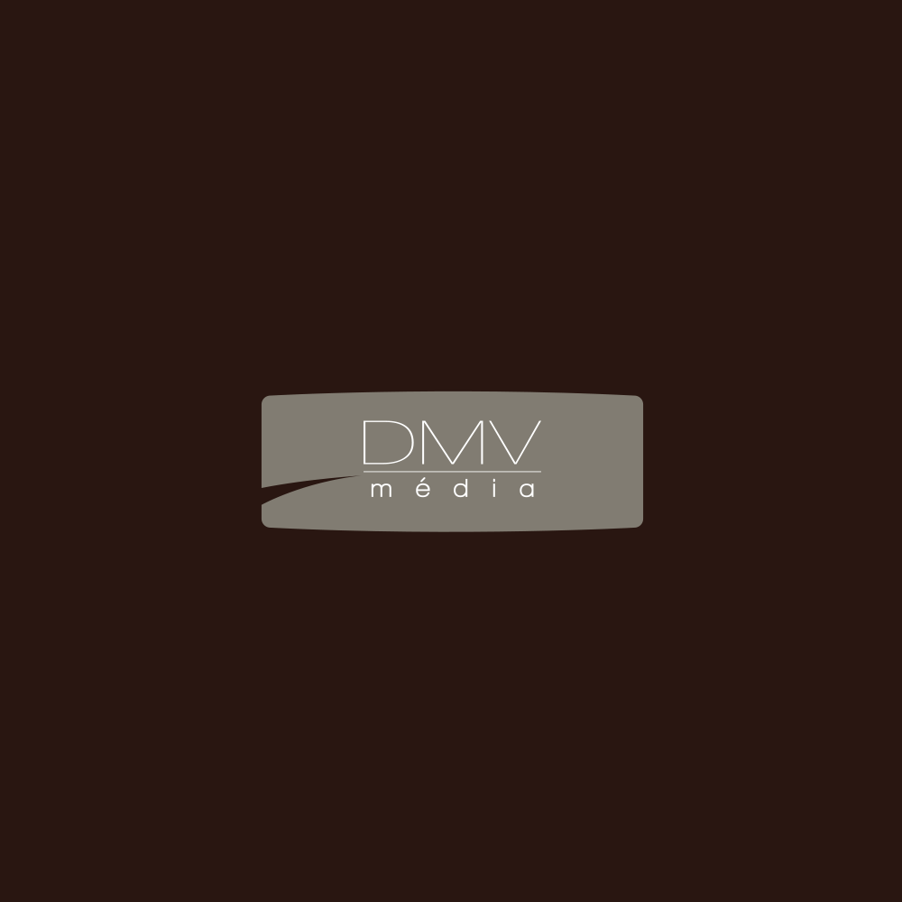 dmvmedia<br>Création de logo 2008