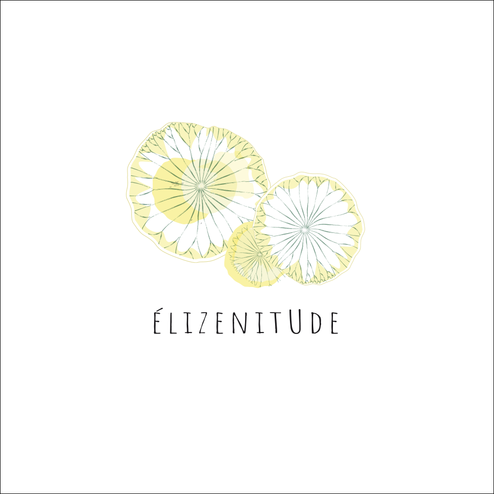 elizenitude<br>Création de logo 2022